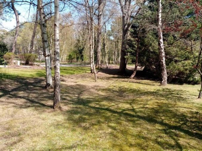 La sérénité dans un cocon de verdure Le Touquet Esterno foto
