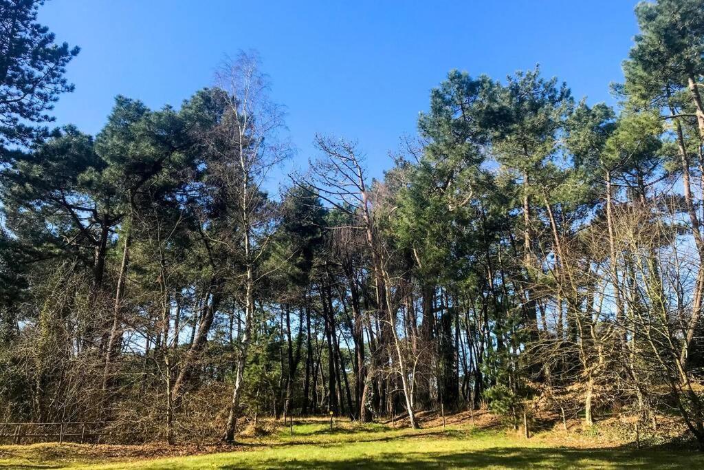 La sérénité dans un cocon de verdure Le Touquet Esterno foto