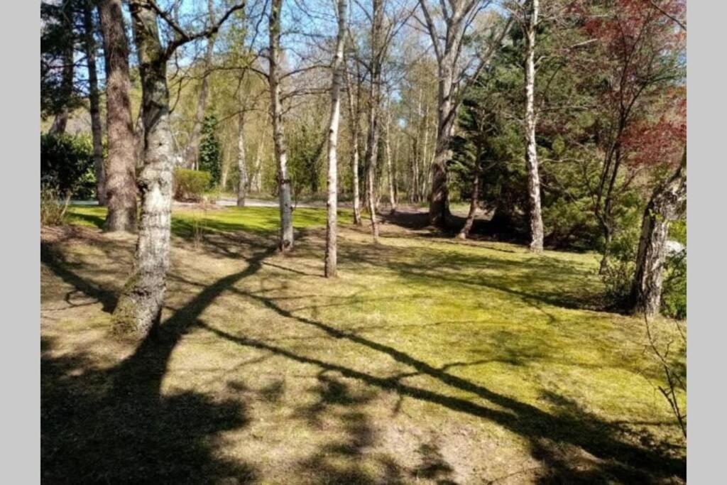 La sérénité dans un cocon de verdure Le Touquet Esterno foto
